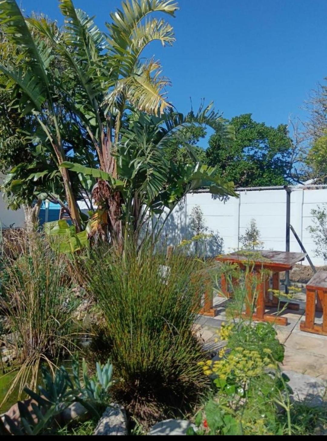 Crinum House And In Bloubergstrand Holiday home